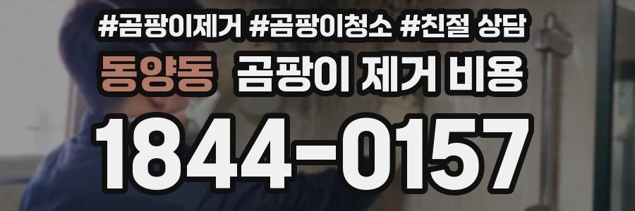 동양동 곰팡이 제거 비용