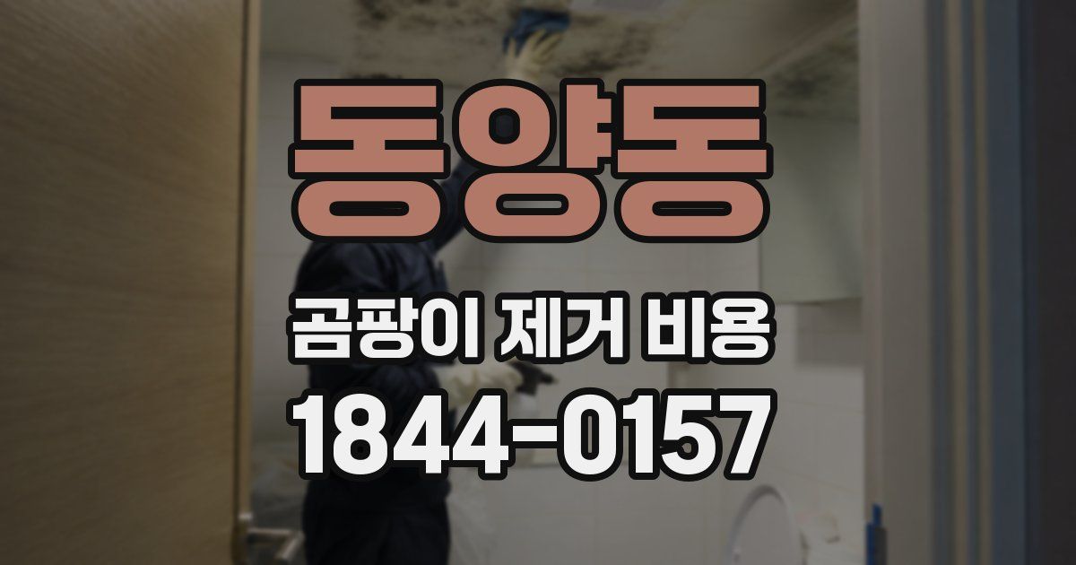 동양동 곰팡이 제거 비용