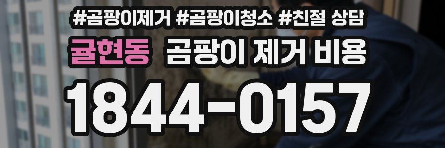 귤현동 곰팡이 제거 비용
