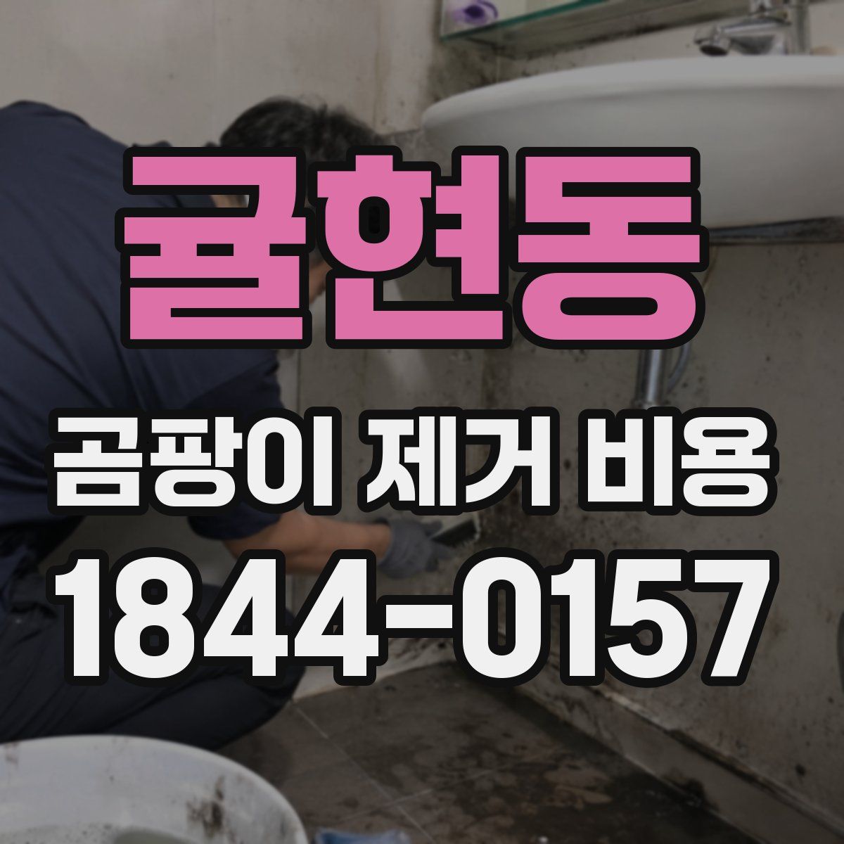 귤현동 곰팡이 제거 비용