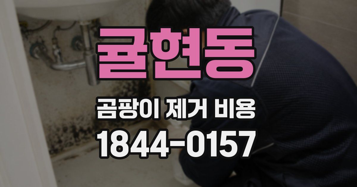 귤현동 곰팡이 제거 비용
