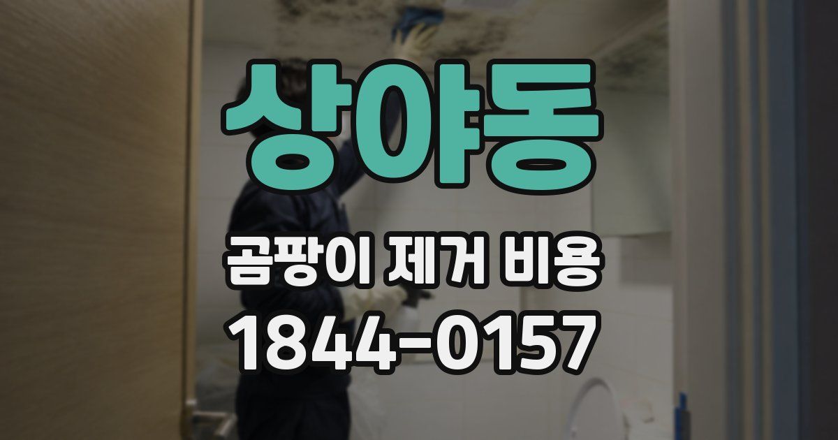 상야동 곰팡이 제거 비용