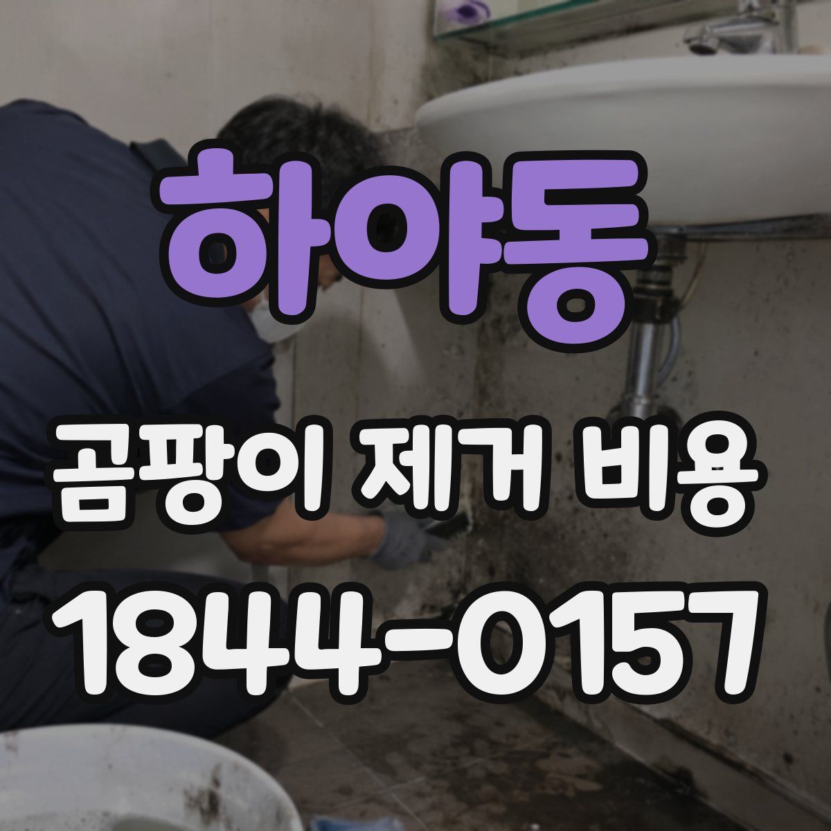 하야동 곰팡이 제거 비용