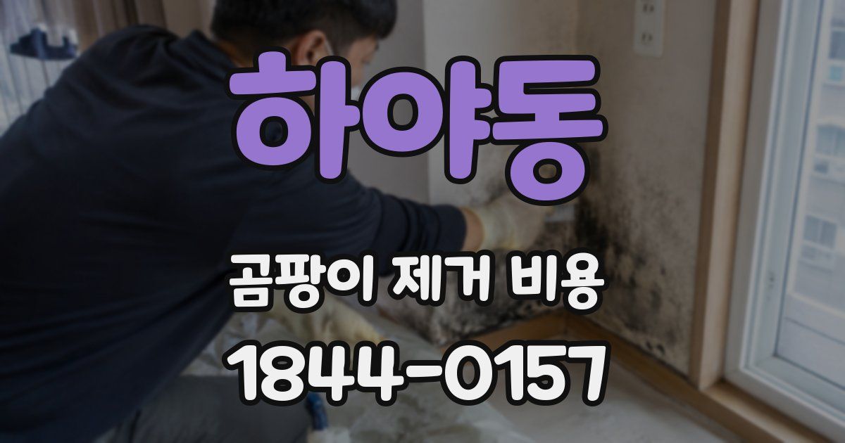 하야동 곰팡이 제거 비용