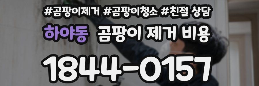 하야동 곰팡이 제거 비용