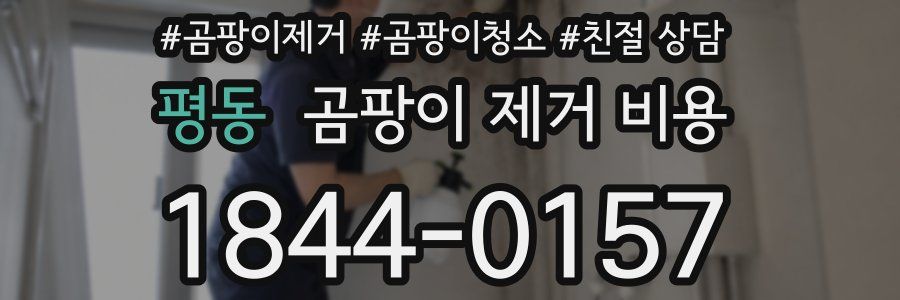 평동 곰팡이 제거 비용