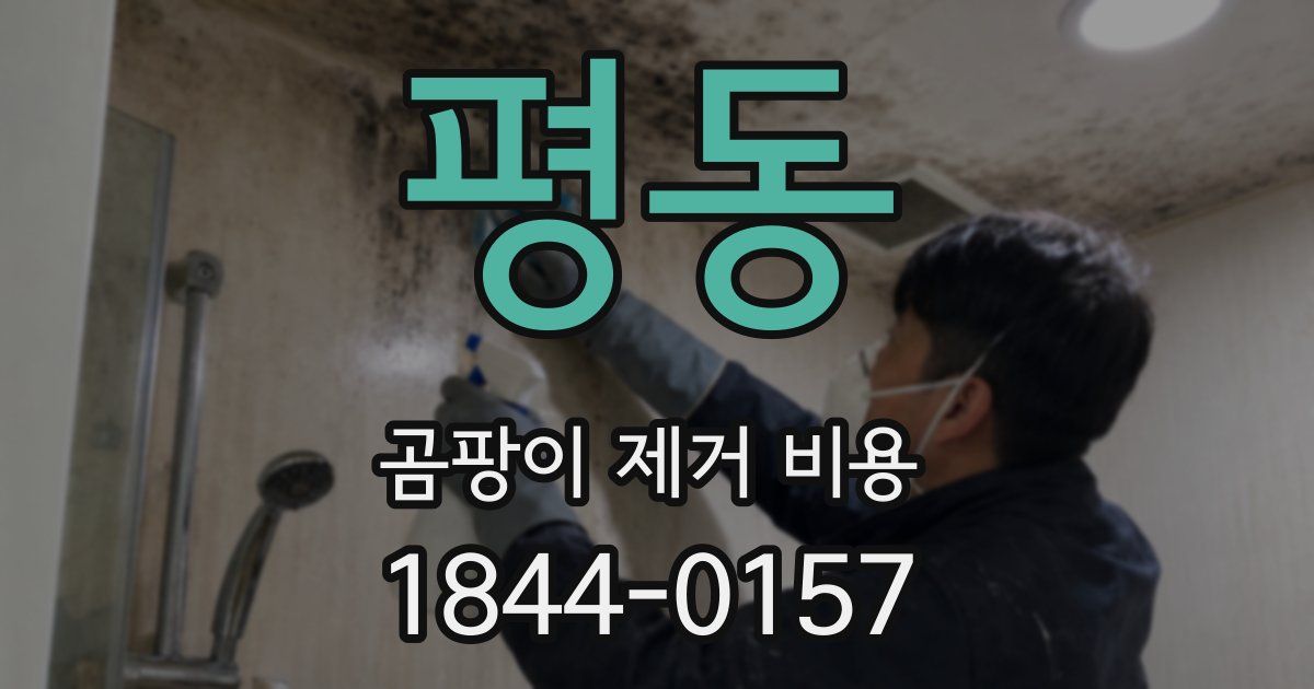 평동 곰팡이 제거 비용