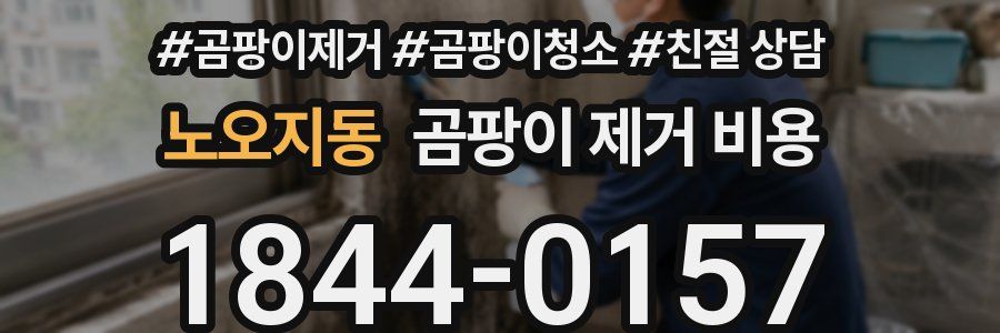 노오지동 곰팡이 제거 비용