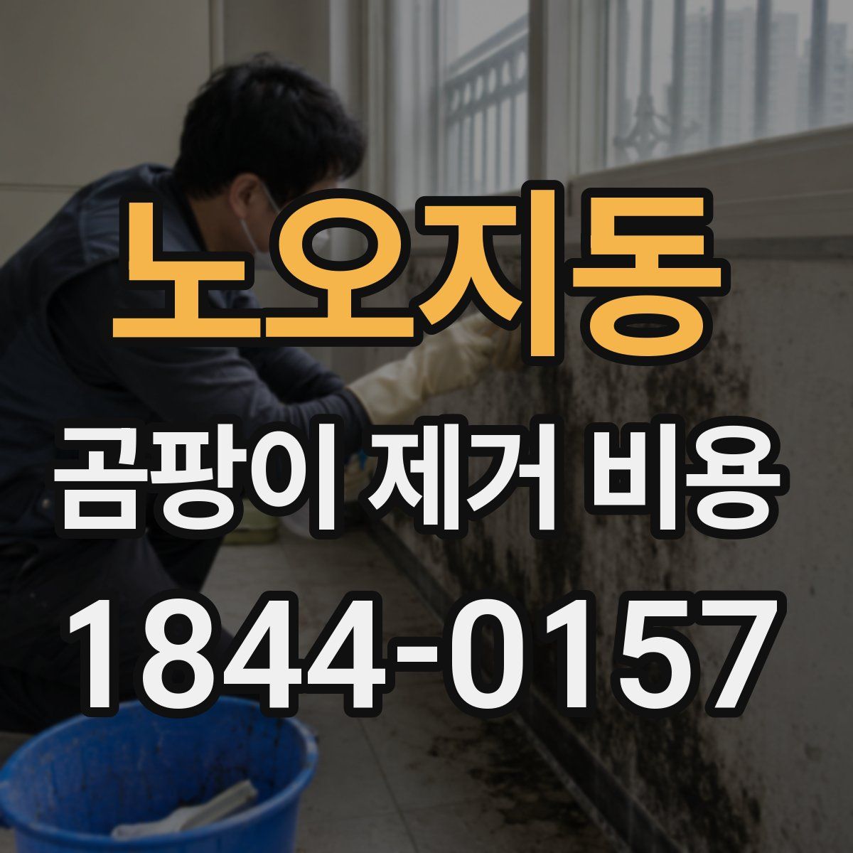 노오지동 곰팡이 제거 비용