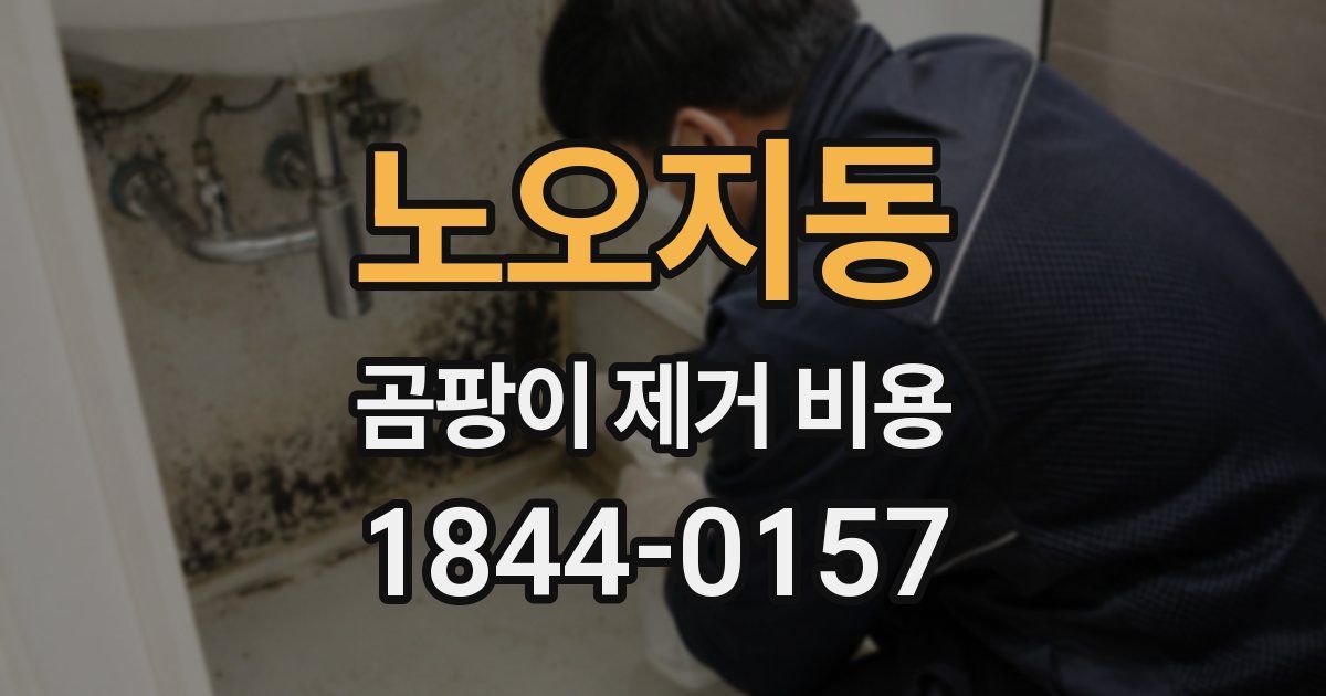 노오지동 곰팡이 제거 비용