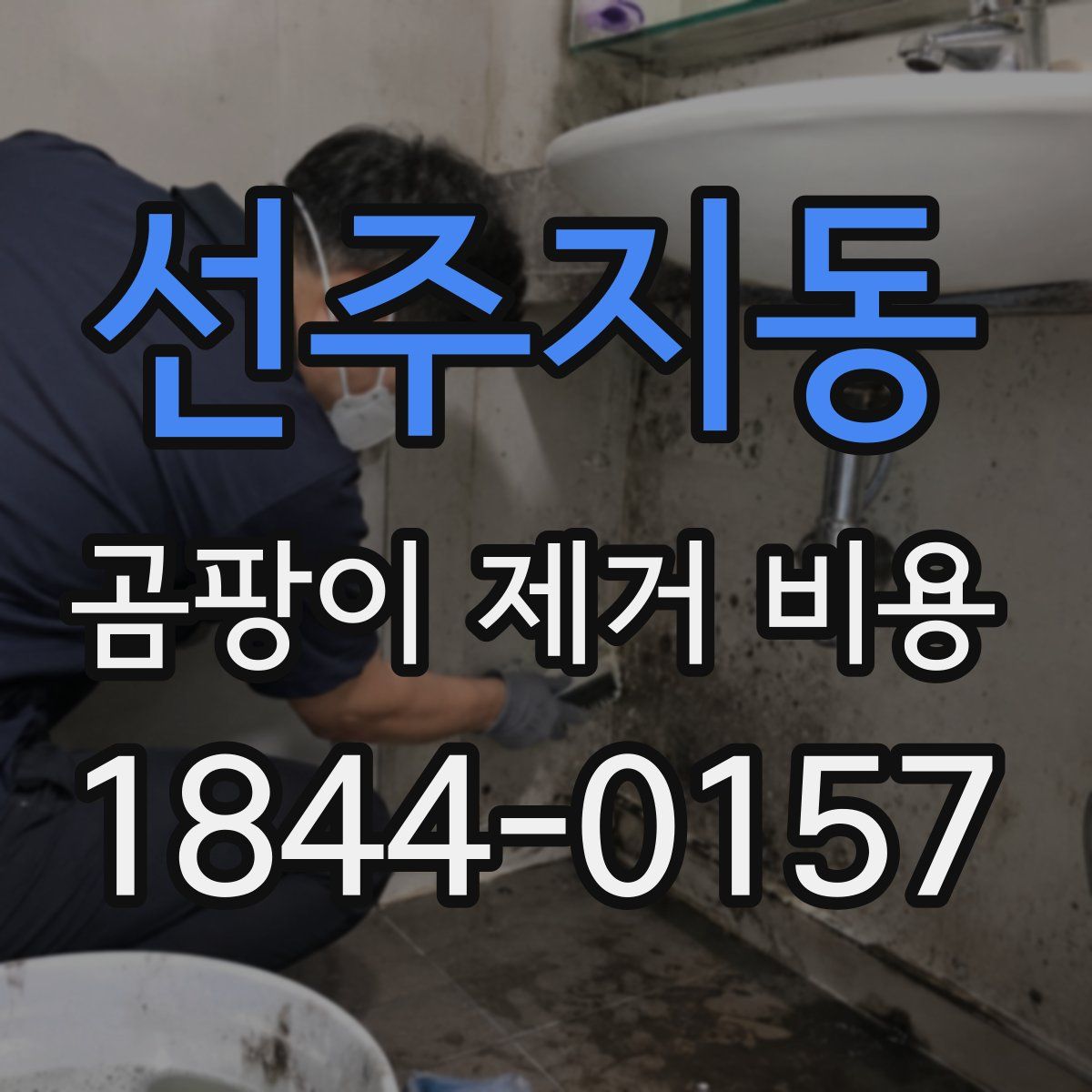 선주지동 곰팡이 제거 비용