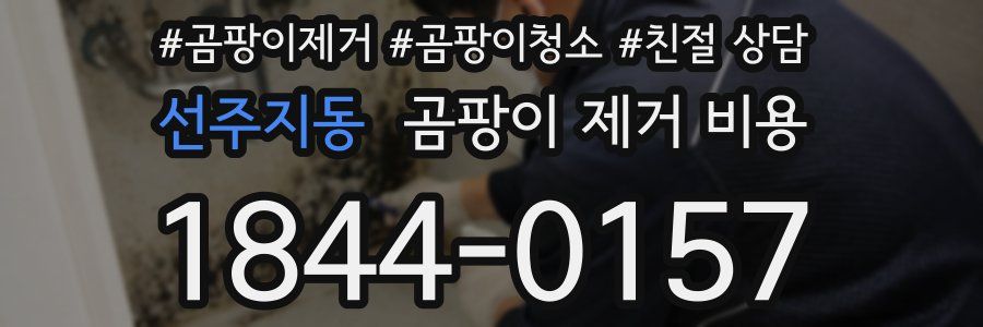 선주지동 곰팡이 제거 비용
