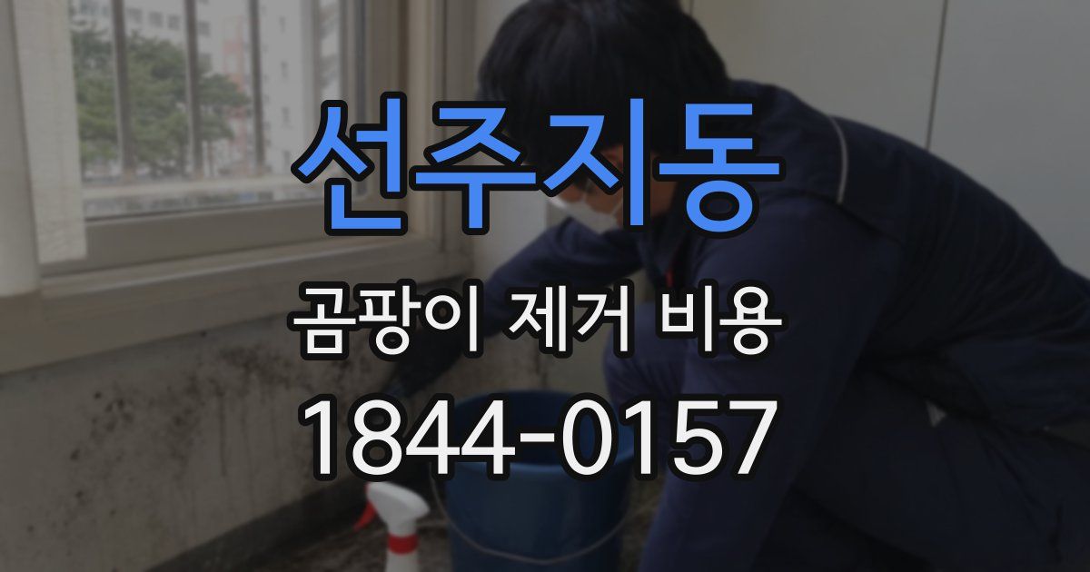 선주지동 곰팡이 제거 비용