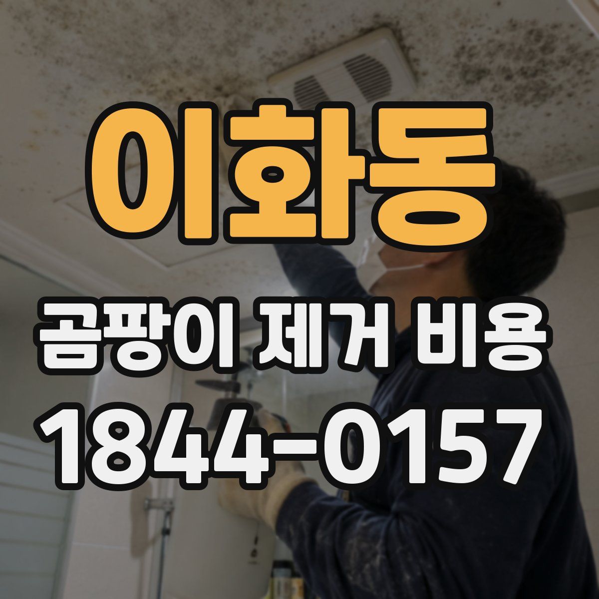 이화동 곰팡이 제거 비용
