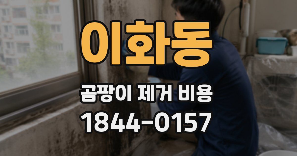이화동 곰팡이 제거 비용