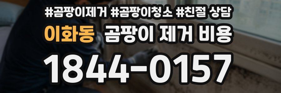 이화동 곰팡이 제거 비용