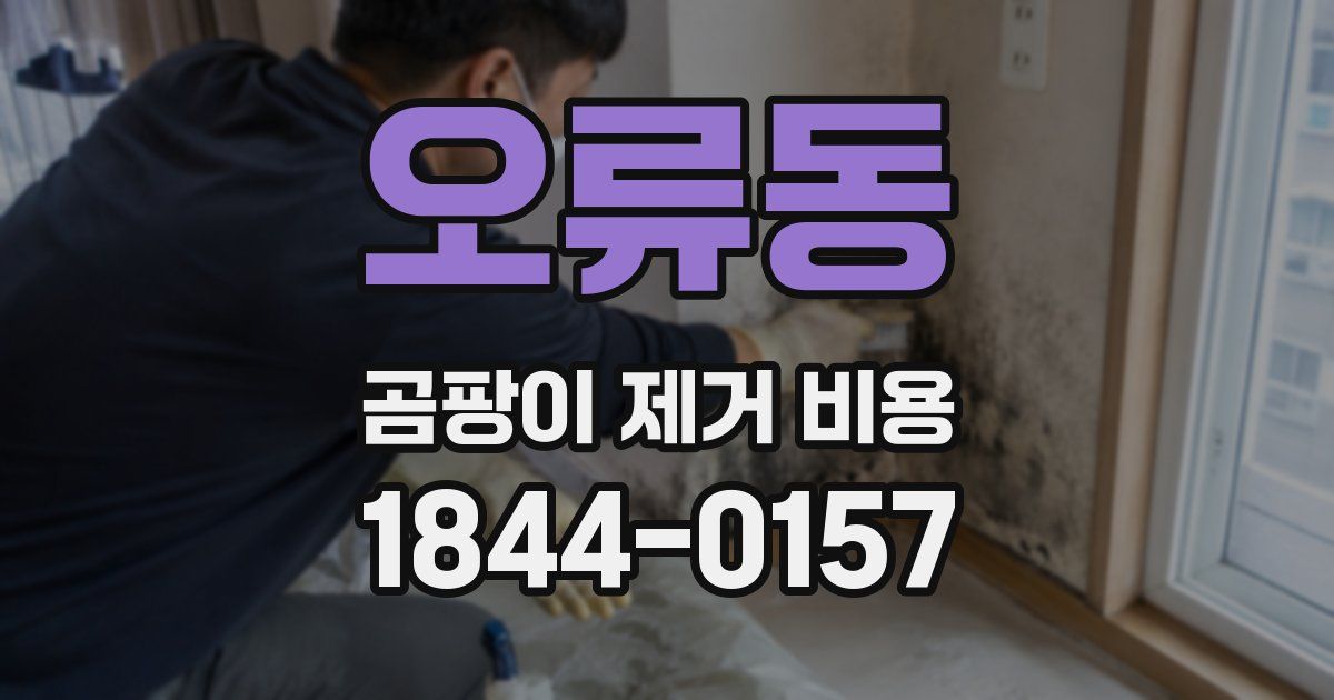 오류동 곰팡이 제거 비용