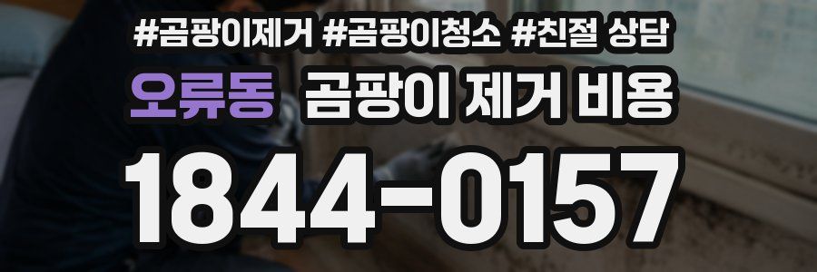 오류동 곰팡이 제거 비용