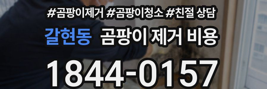 갈현동 곰팡이 제거 비용