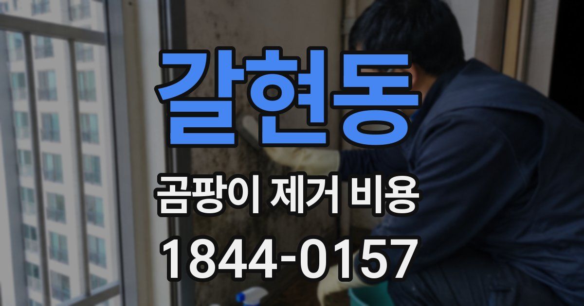 갈현동 곰팡이 제거 비용