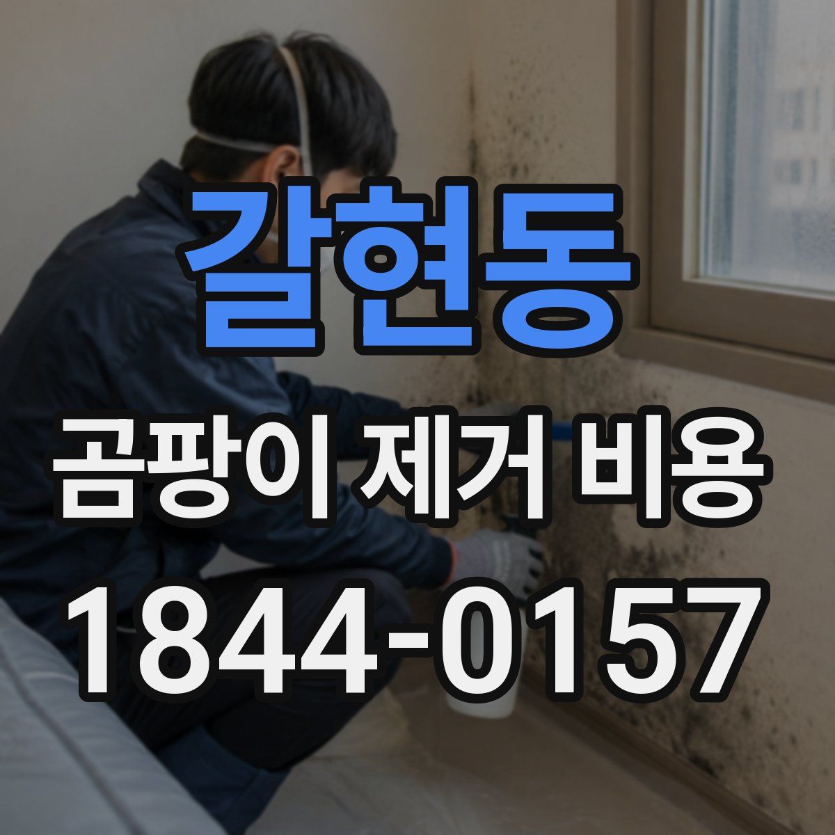 갈현동 곰팡이 제거 비용