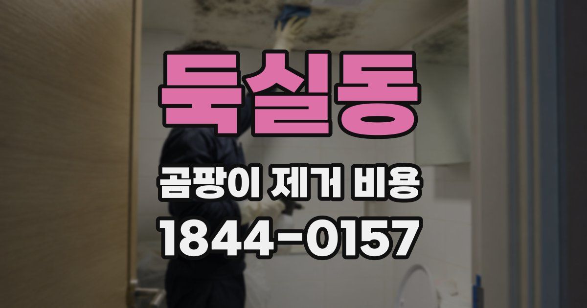 둑실동 곰팡이 제거 비용