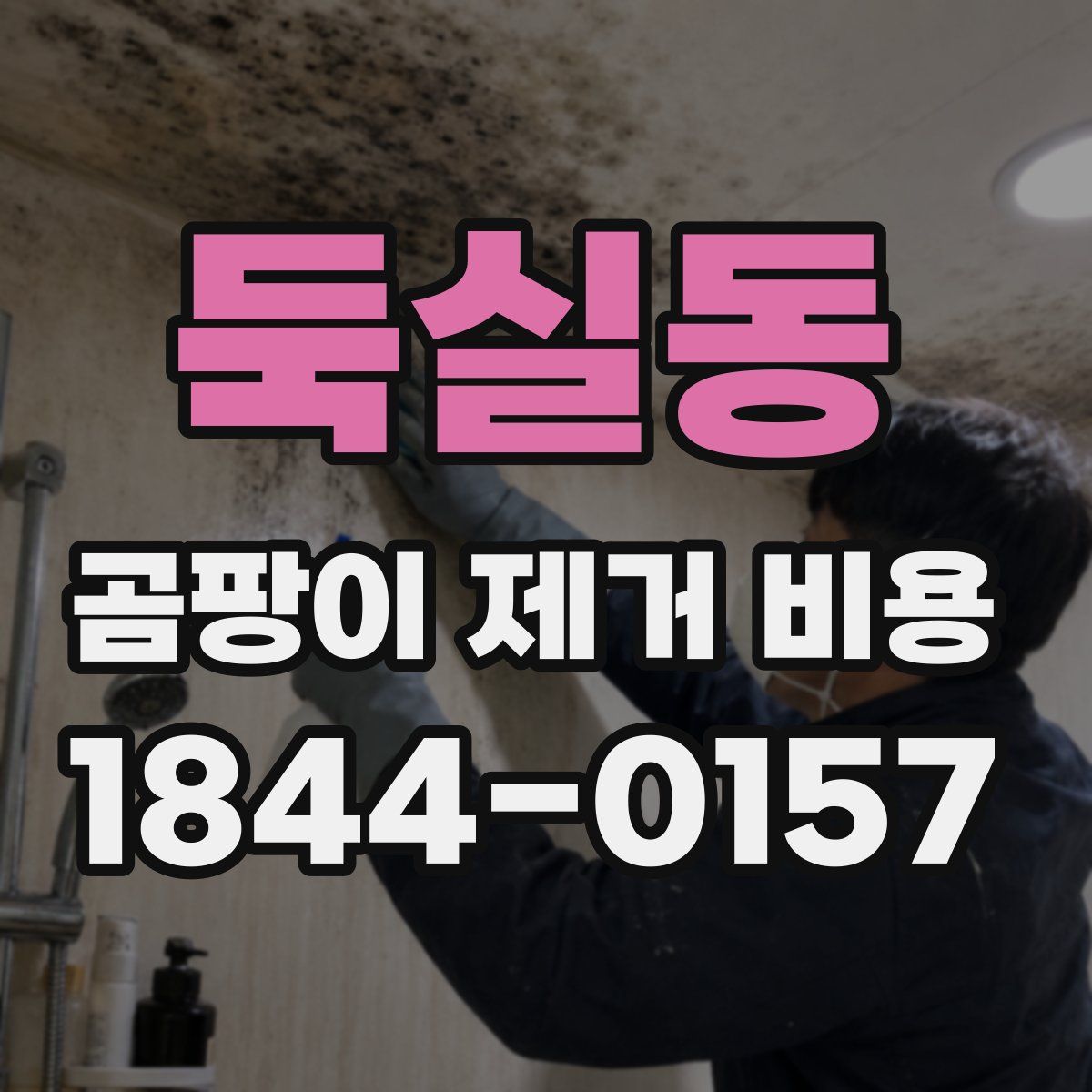 둑실동 곰팡이 제거 비용
