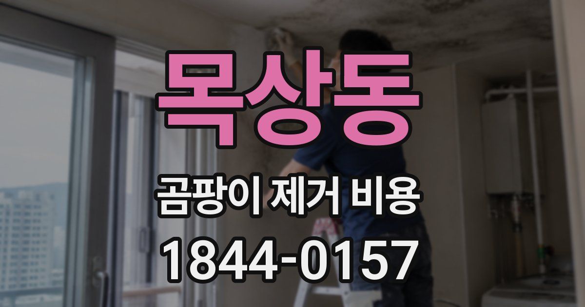 목상동 곰팡이 제거 비용