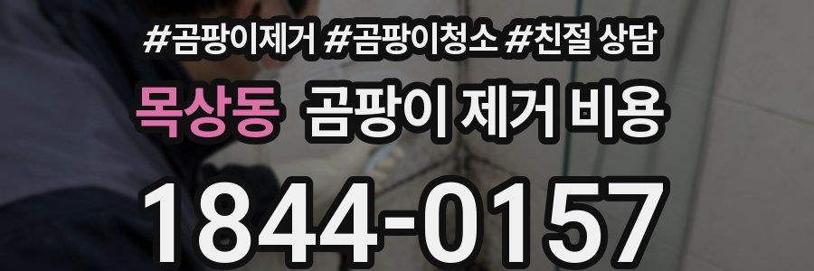 목상동 곰팡이 제거 비용