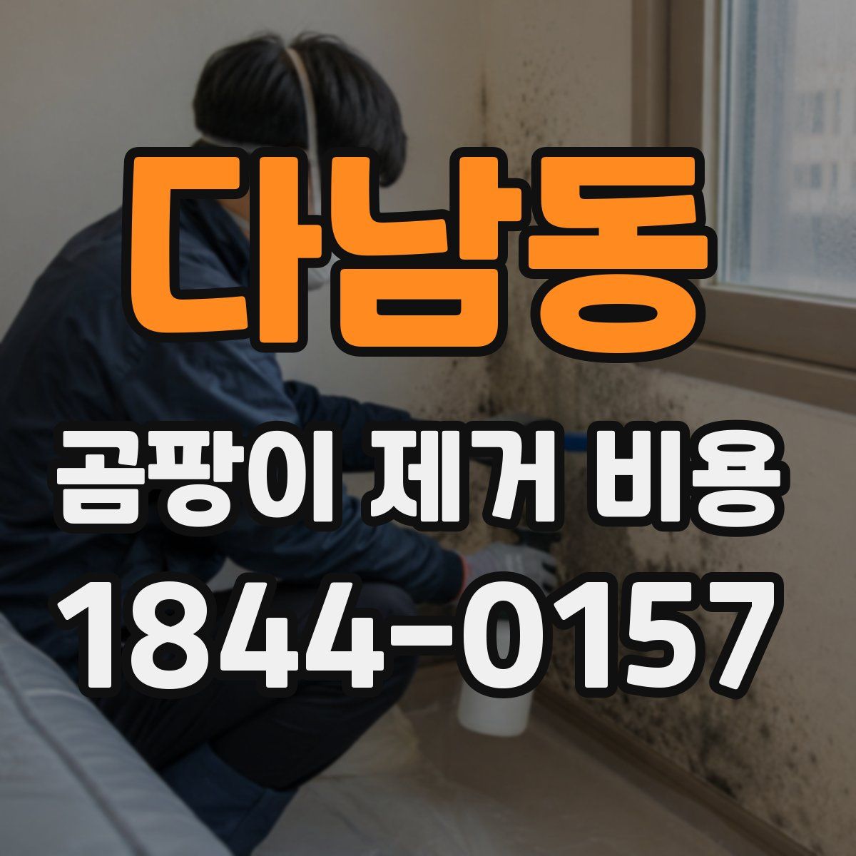 다남동 곰팡이 제거 비용