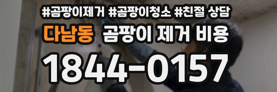 다남동 곰팡이 제거 비용