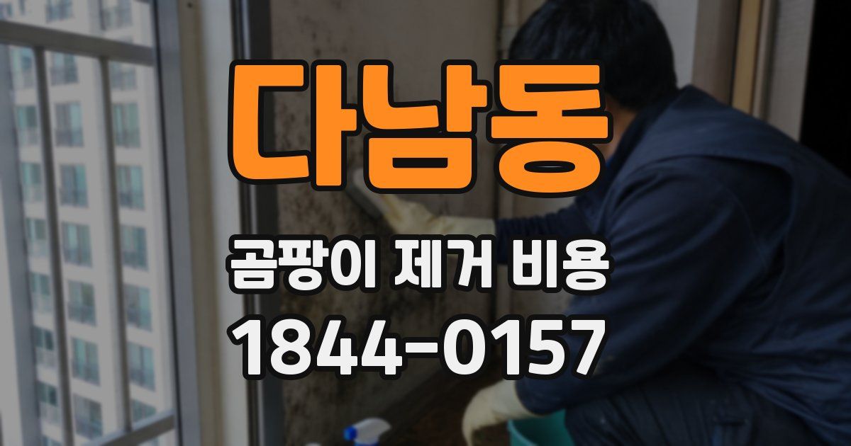 다남동 곰팡이 제거 비용