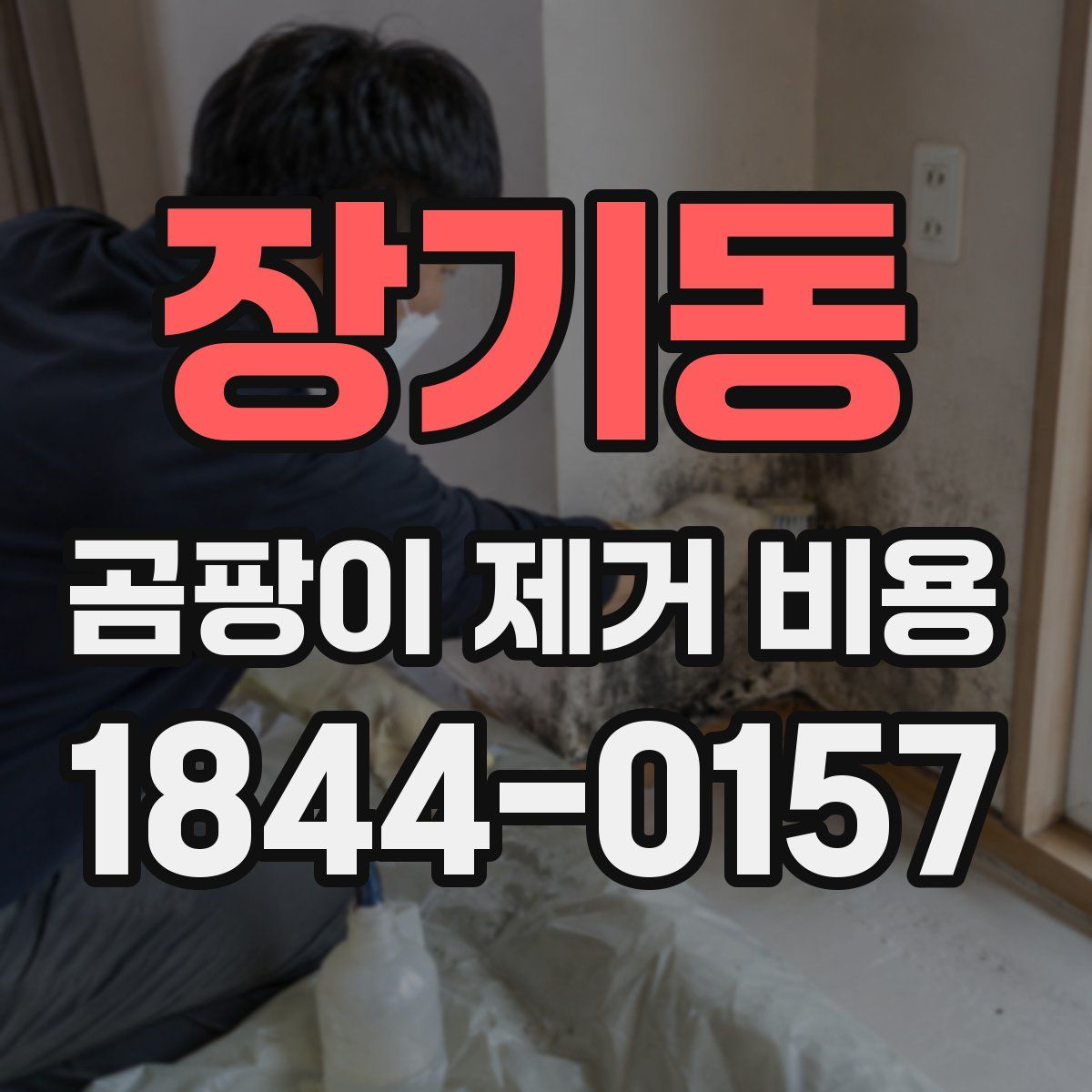 장기동 곰팡이 제거 비용
