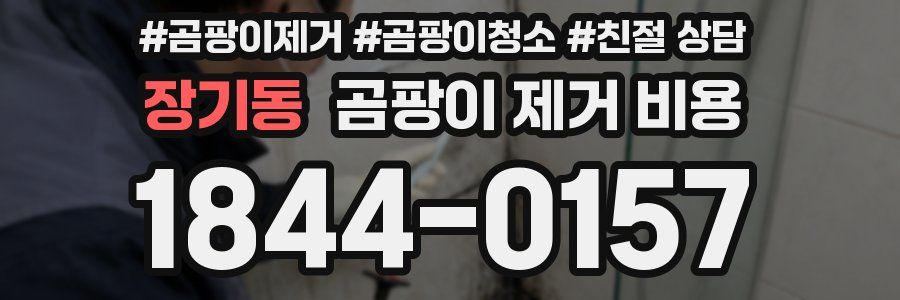 장기동 곰팡이 제거 비용