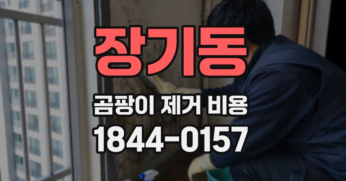 장기동 곰팡이 제거 비용