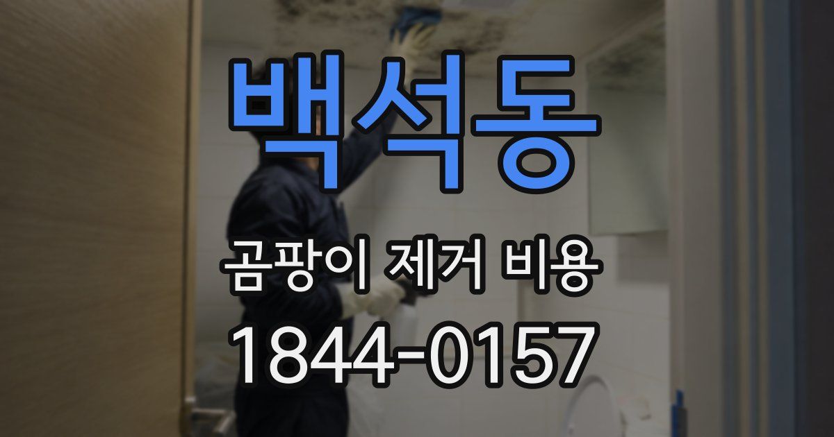 백석동 곰팡이 제거 비용