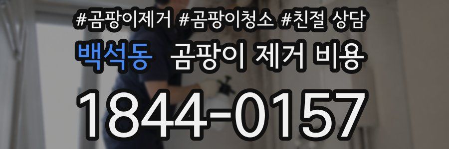 백석동 곰팡이 제거 비용