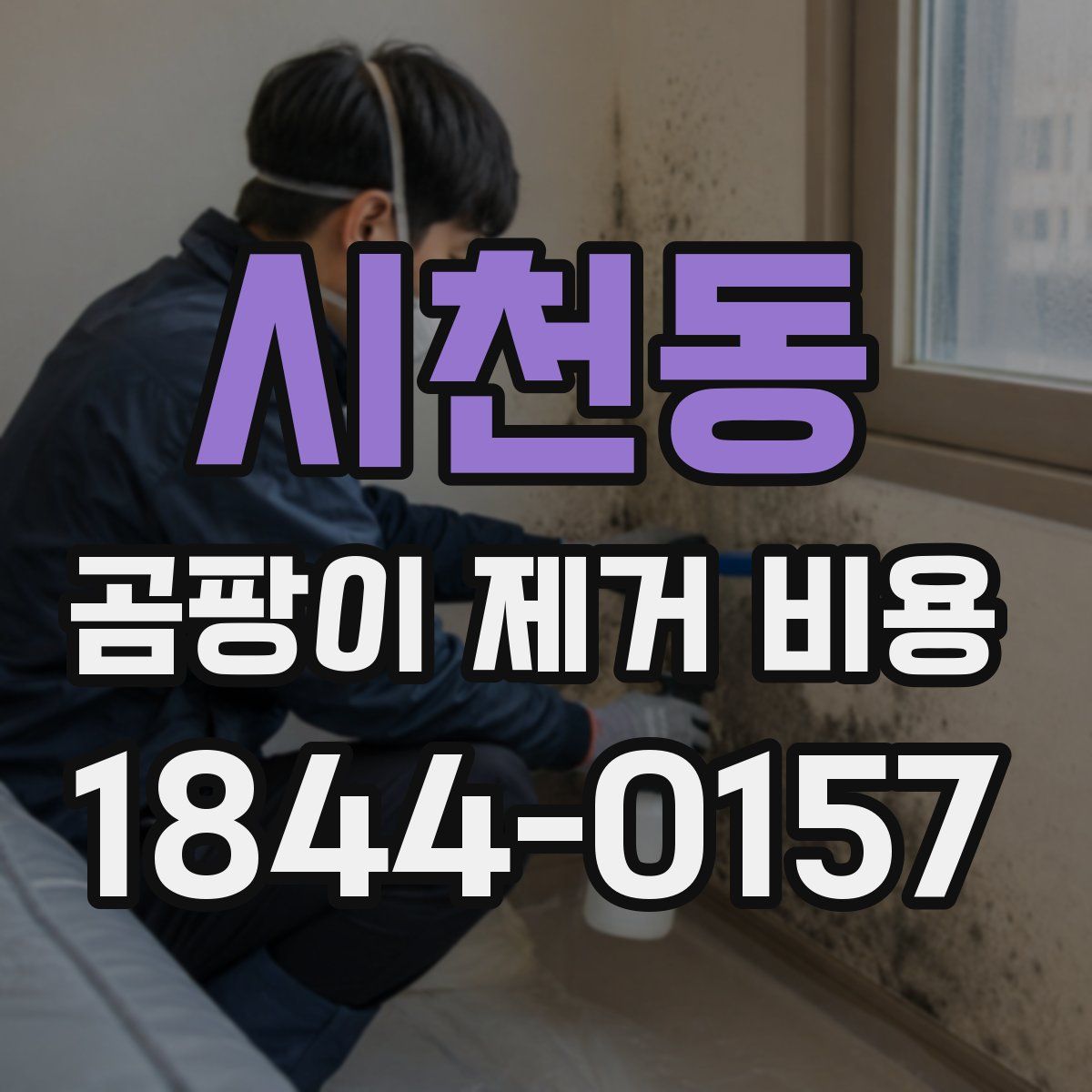 시천동 곰팡이 제거 비용
