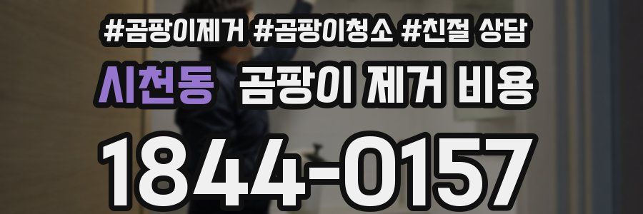시천동 곰팡이 제거 비용