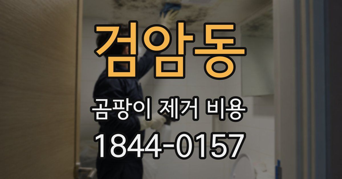검암동 곰팡이 제거 비용