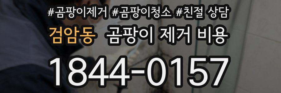 검암동 곰팡이 제거 비용