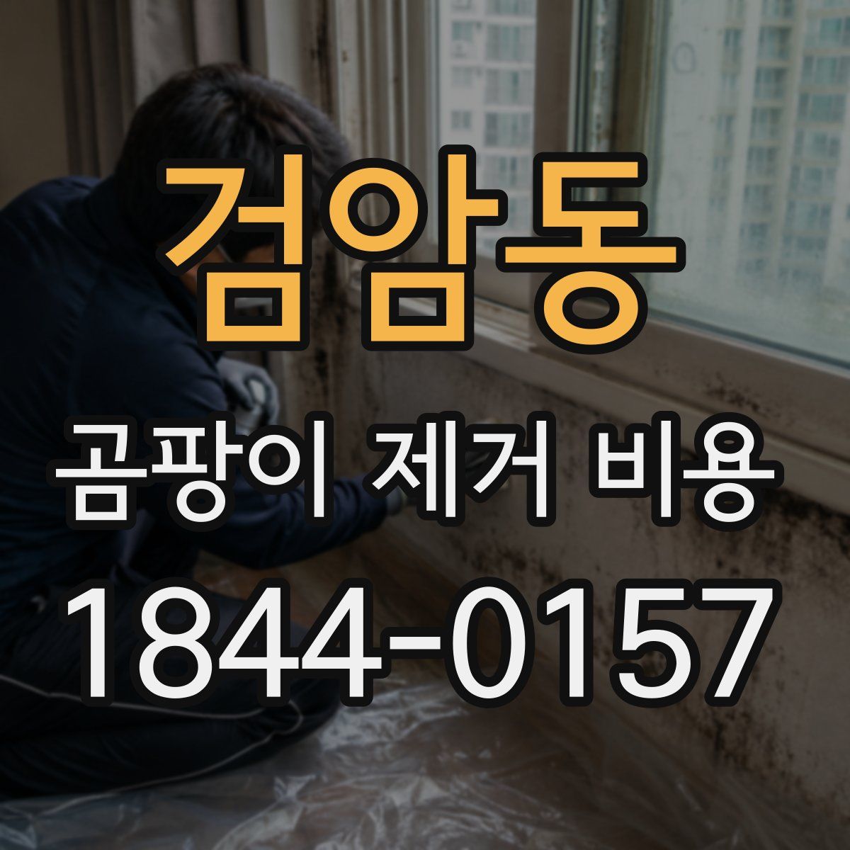 검암동 곰팡이 제거 비용
