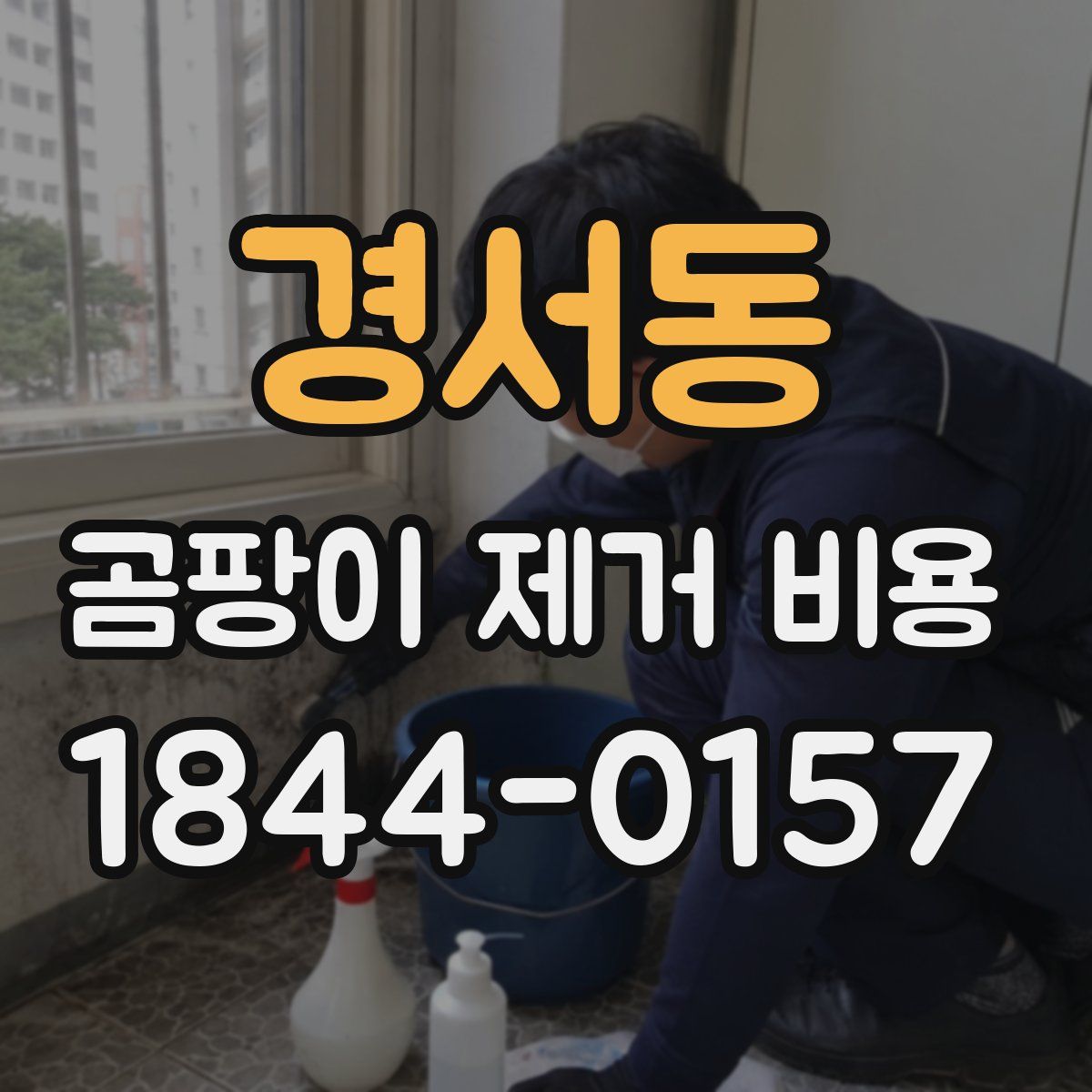 경서동 곰팡이 제거 비용