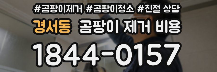 경서동 곰팡이 제거 비용