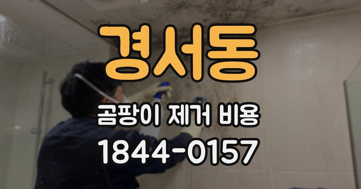 경서동 곰팡이 제거 비용