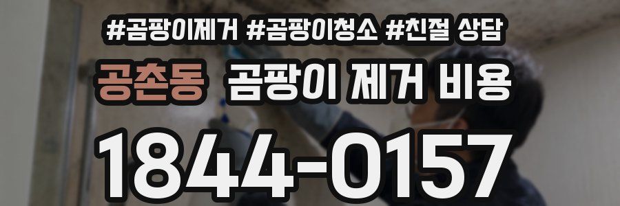 공촌동 곰팡이 제거 비용