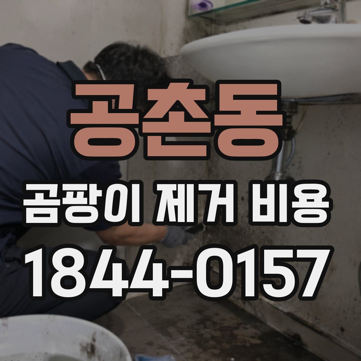 공촌동 곰팡이 제거 비용