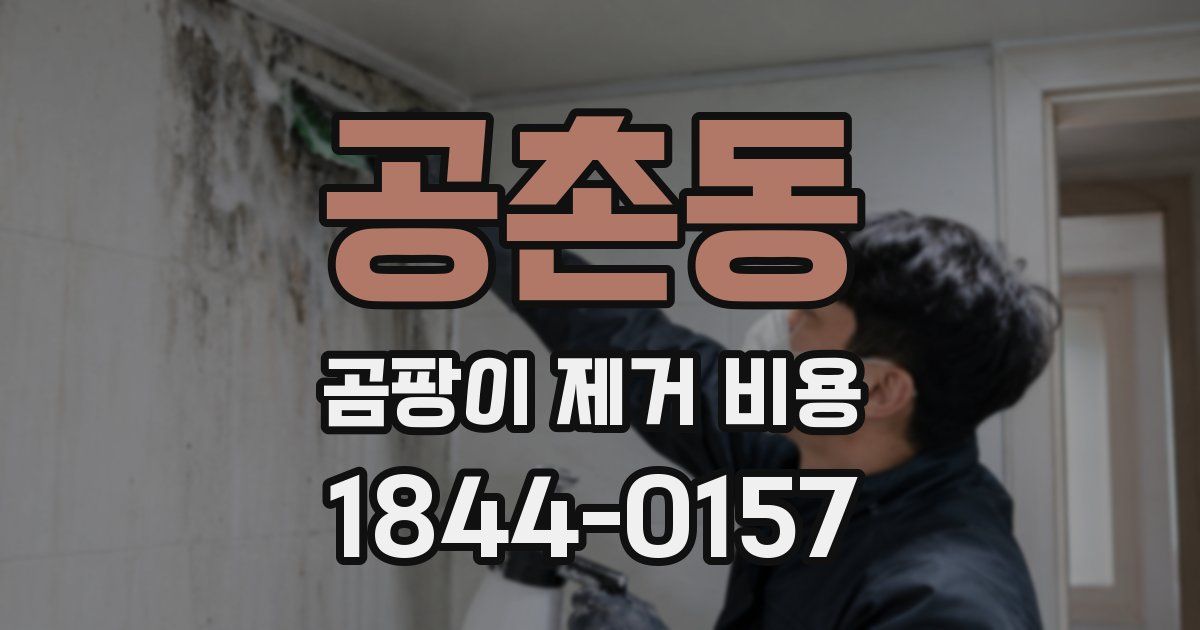 공촌동 곰팡이 제거 비용