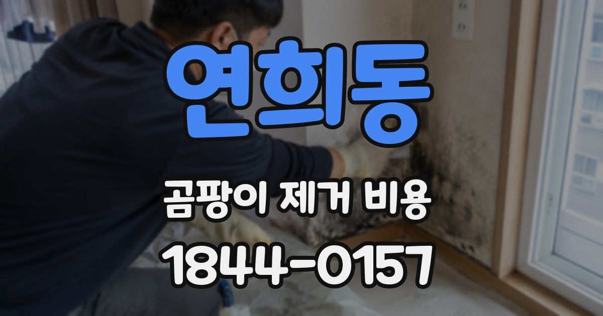 연희동 곰팡이 제거 비용