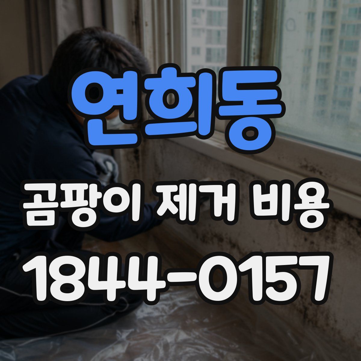 연희동 곰팡이 제거 비용